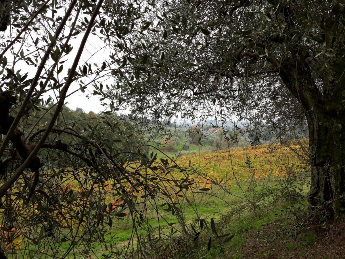 La Torre Wine Resort Montecarlo Dış mekan fotoğraf