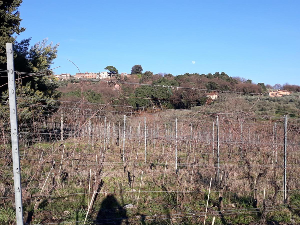 La Torre Wine Resort Montecarlo Dış mekan fotoğraf